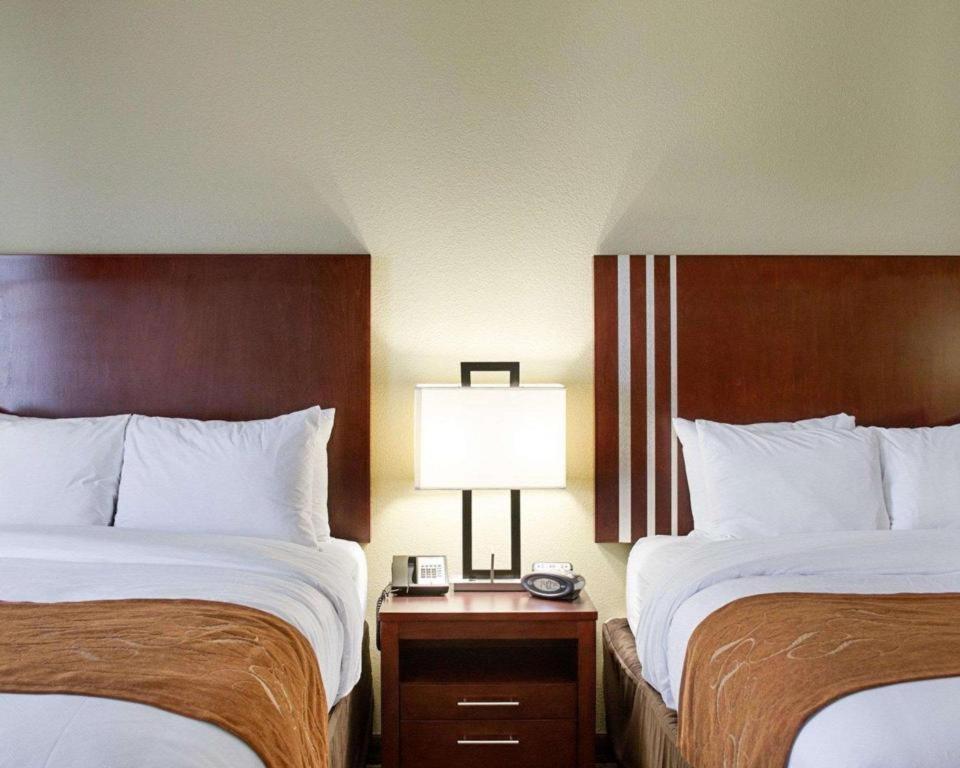 Comfort Suites Greenwood Dış mekan fotoğraf