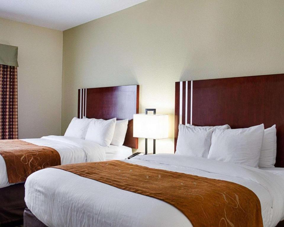 Comfort Suites Greenwood Dış mekan fotoğraf